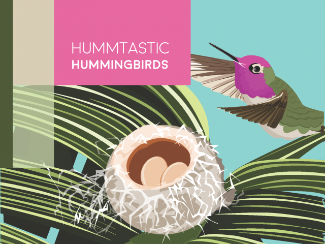 Hummtastic Hummingbirds Coloring Book